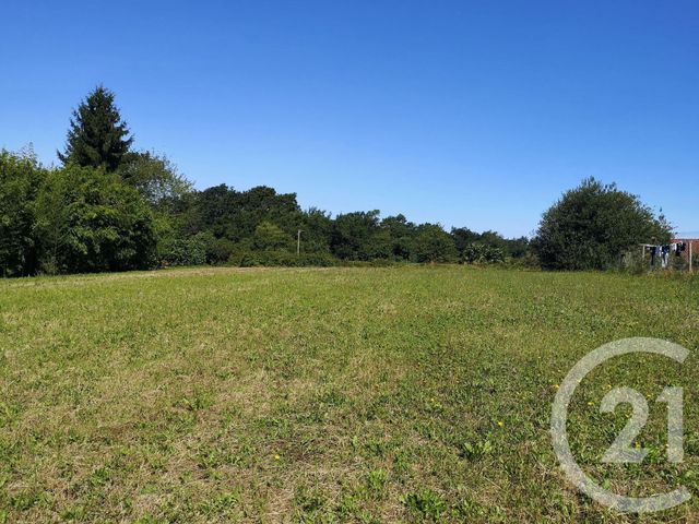Afficher la photo en grand terrain à vendre - 1600.0 m2 - CLERMONT - 40 - AQUITAINE - Century 21 Glockner