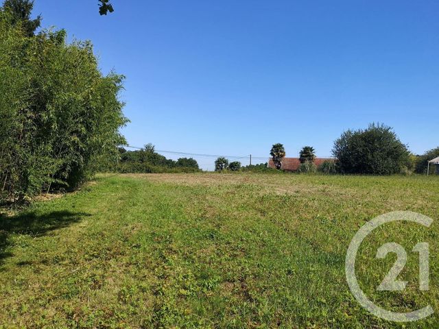 Afficher la photo en grand terrain à vendre - 1600.0 m2 - CLERMONT - 40 - AQUITAINE - Century 21 Glockner