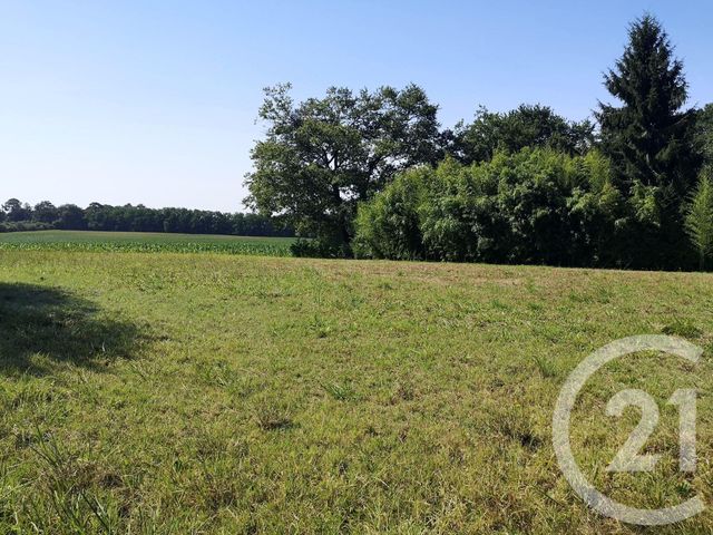 Afficher la photo en grand terrain à vendre - 1600.0 m2 - CLERMONT - 40 - AQUITAINE - Century 21 Glockner