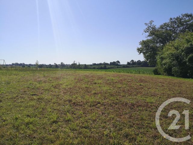 Afficher la photo en grand terrain à vendre - 1600.0 m2 - CLERMONT - 40 - AQUITAINE - Century 21 Glockner