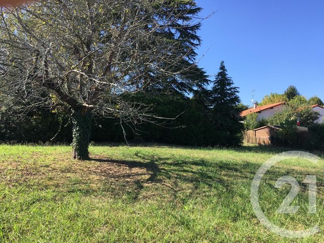Afficher la photo en grand terrain à vendre - 1581.0 m2 - NARROSSE - 40 - AQUITAINE - Century 21 Glockner