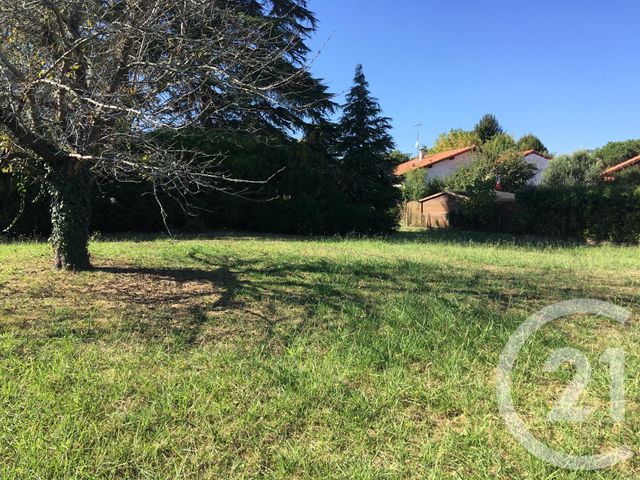 Afficher la photo en grand terrain à vendre - 1581.0 m2 - NARROSSE - 40 - AQUITAINE - Century 21 Glockner
