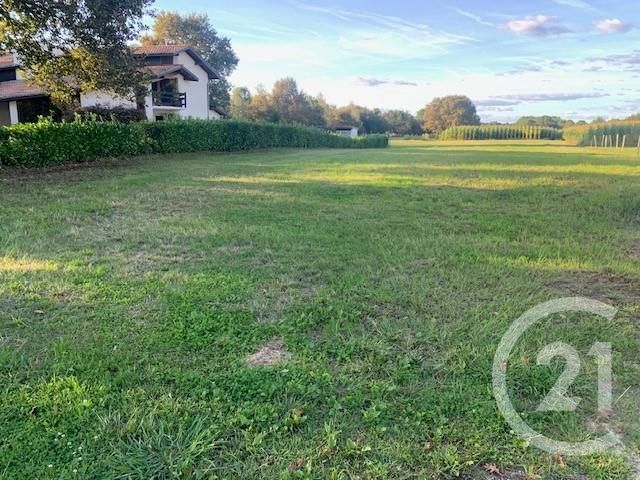 terrain à vendre - 1200.0 m2 - SORT EN CHALOSSE - 40 - AQUITAINE - Century 21 Glockner