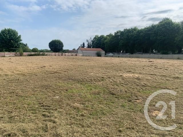 terrain à vendre - 4891.0 m2 - YZOSSE - 40 - AQUITAINE - Century 21 Glockner