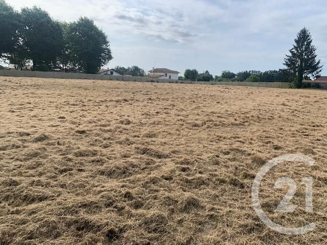 terrain à vendre - 4891.0 m2 - YZOSSE - 40 - AQUITAINE - Century 21 Glockner