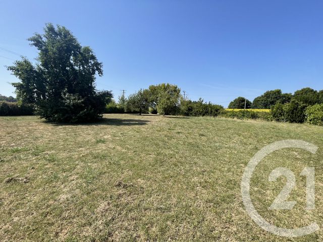 maison à vendre - 10 pièces - 234.0 m2 - SAUGNAC ET CAMBRAN - 40 - AQUITAINE - Century 21 Glockner