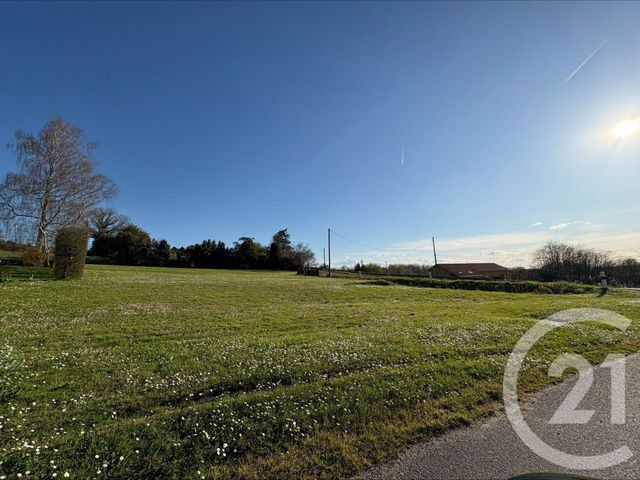 terrain à vendre - 470.0 m2 - MONTFORT EN CHALOSSE - 40 - AQUITAINE - Century 21 Glockner