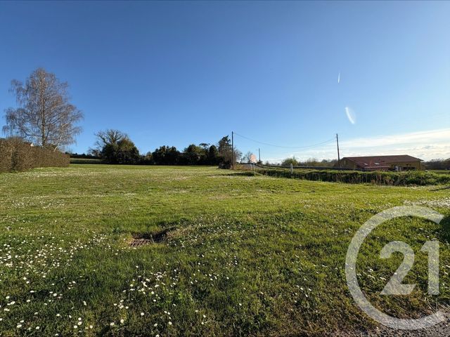 terrain à vendre - 470.0 m2 - MONTFORT EN CHALOSSE - 40 - AQUITAINE - Century 21 Glockner