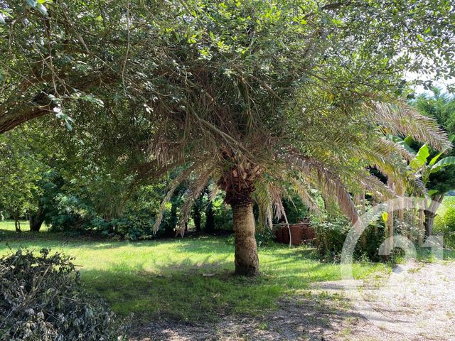 maison à louer - 5 pièces - 123.69 m2 - CANDRESSE - 40 - AQUITAINE - Century 21 Glockner